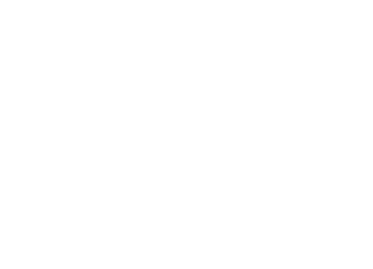 Bumpie Logo